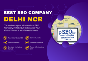 Best SEO Company in Delhi